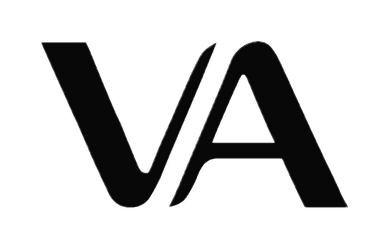 Vision Accessibility Logo